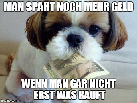 Hund Meme zum Geld Sparen