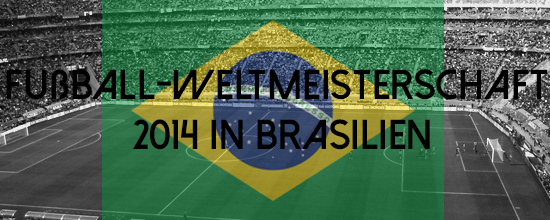 Was kostet es, bei der WM in Brasilien dabei zu sein?